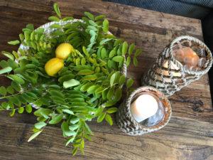 Bachelor credibility Woolloomooloo