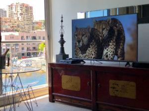 Bachelor credibility Woolloomooloo