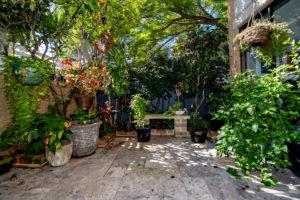 This is an example of a garden in Sydney.